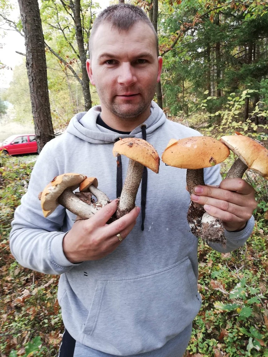 Grzybobranie 2018 w naszym regionie. Zobaczcie zdjęcia...