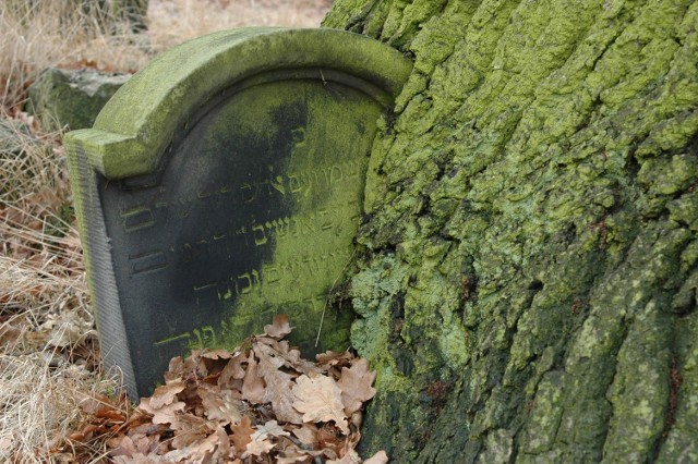 Kirkut, czyli cmentarz żydowski w Oleśnie
