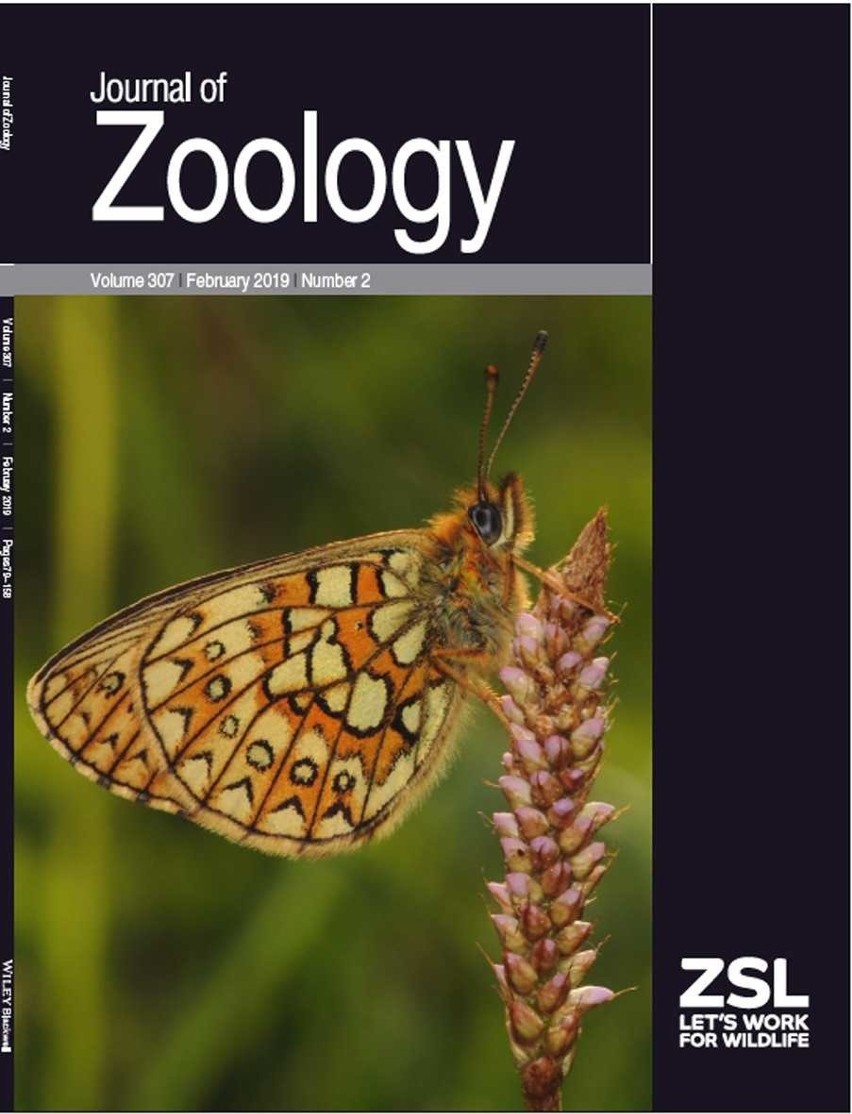 Na okładce lutowego numeru pisma Journal of Zoology –...