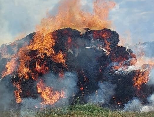 Duży pożar balotów trzciny w gminie Fałków [ZDJĘCIA]