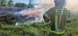 W Dąbrowie Górniczej płonęły trawy. Interweniowali strażacy OSP i JRG