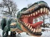Dinozaury grasują po Szprotawie i nie boją się śniegu. To nie jest przypadek