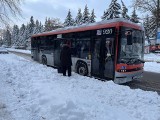 Mieszkańcy Rzeszowa są wściekli, muszą pokonywać zaspy, aby wejść do autobusu. Miasto chce ukarać konsorcjum za zaniedbania [ZDJĘCIA]