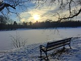 Park w Świerklańcu - zimowa odsłona. Piękne miejsce na romantyczny spacer