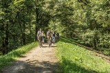 Dolny Śląsk to raj dla rowerzystów. Są trasy dla początkujących i wytrawnych cyklistów. Długość tras wynosi aż 4 tysiące kilometrów