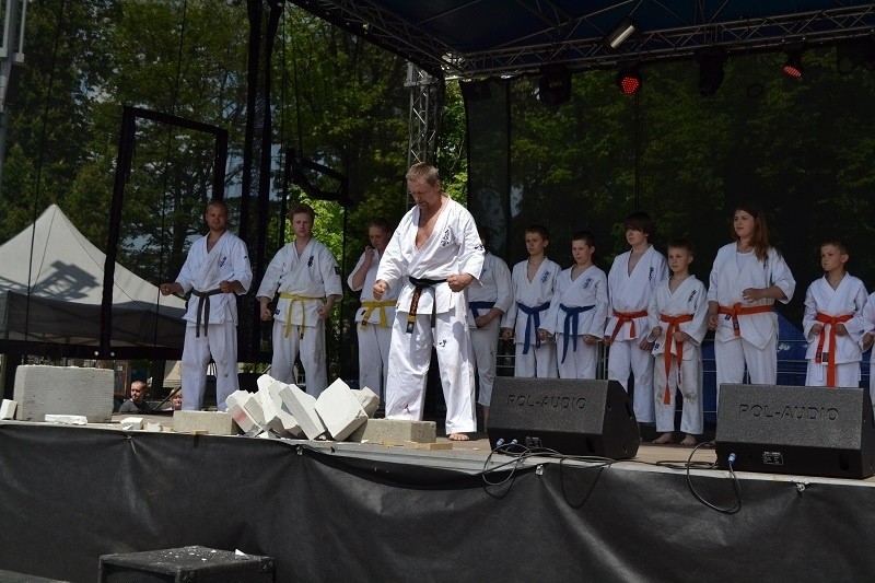 Częstochowa: Dzień Samorządu Terytorialnego. Jest Festiwal Nauki, pokazy i występy [ZDJĘCIA]