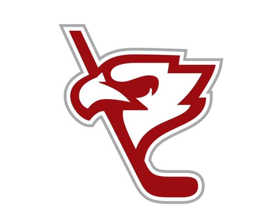 Nowe logo Polskiej Hokej Ligi