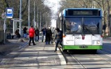 Szczecin: Buspas hamuje ruch. Radni nie chcą o tym dyskutować