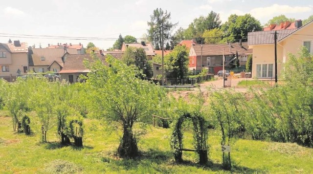 W gminie Zabierzów przybywa kilkuset mieszkańców na rok, dlatego rosną też dochody z podatków