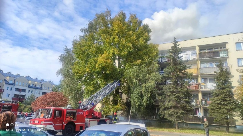 Do gaszenia pożaru na ul. Wysłouchów zostało oddelegowanych...