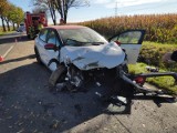 Wypadek na DK 46 na trasie Ścibórz - Paczków. Samochód uderzył w drzewo