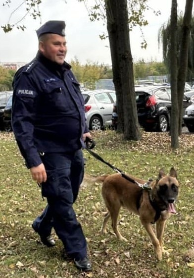 Policyjny pies Nadit odnalazl poszukiwanego mężczyznę. Kolejny sukces owczarka belgijskiego