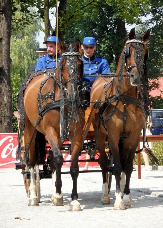 Przepiękne konie, piękne stroje i sportowa rywalizacja, a...