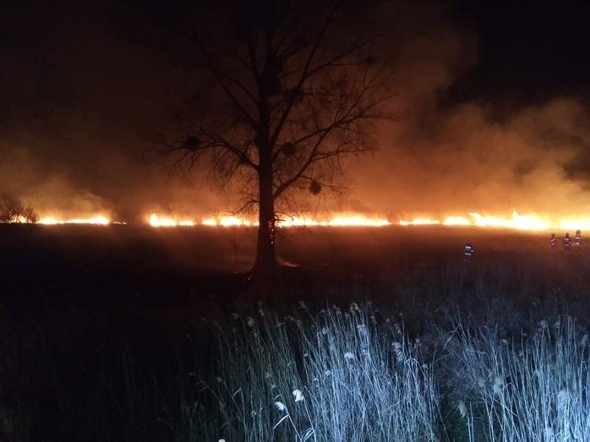 Strażacy w Dorposzu Chełmińskim przez trzy godziny gasili...