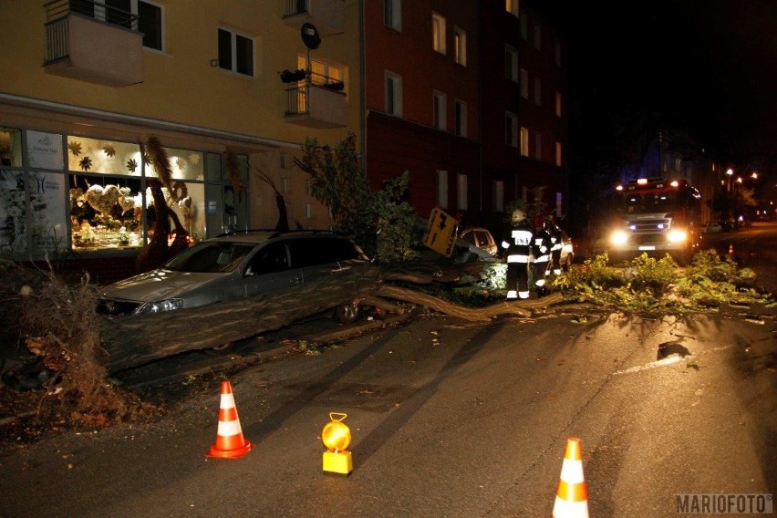 Na ulicy 1 Maja w Opolu drzewo runęło na latarnię i...