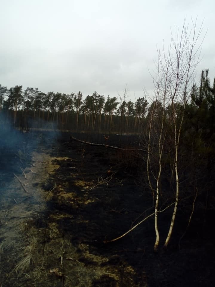 Gigantyczny pożar pod Augustowem. Spłonęło 10 hektarów lasu.