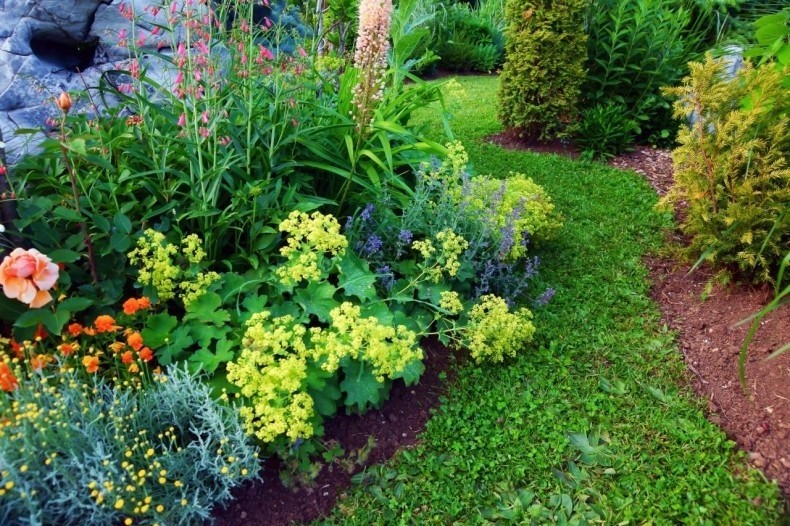 Jeśli rośliny będą dobrze dobre do warunków danego ogrodu (i...