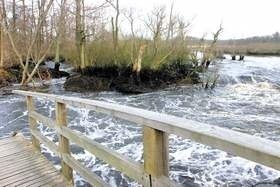 24 marca woda z Ekoparku przełamała wydmę, niszcząc m.in. mostek na ścieżce rowerowej. Słodka woda wycieka z bagien.