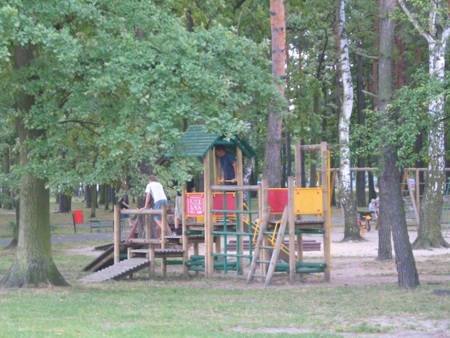 Kawki szczególnie upodobały sobie drzewa na placu zabaw przy Samorządowym Ośrodku Kultury. Ich odchody brudzą dziecięce wózki, huśtawki a często samych mieszkańców.