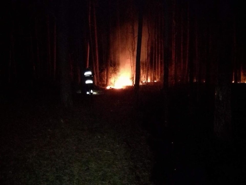Pożar lasu w miejscowości Klepacze. Strażacy mieli ciężką drogę dojścia do źródła pożaru [ZDJĘCIA]