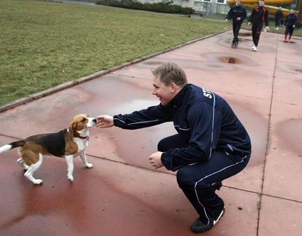- My tu trenujemy, gdzie psy biegają - denerwowali się zawodnicy Stali Sanok, których na boisku Gminnego Ośrodka Sportu w Piasecznie przywitał kundelek (bawił się z nim Maciej Kuzicki). 