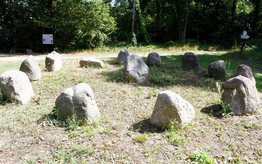 Kamienne kręgi to niezwykła atrakcja Świdnicy.