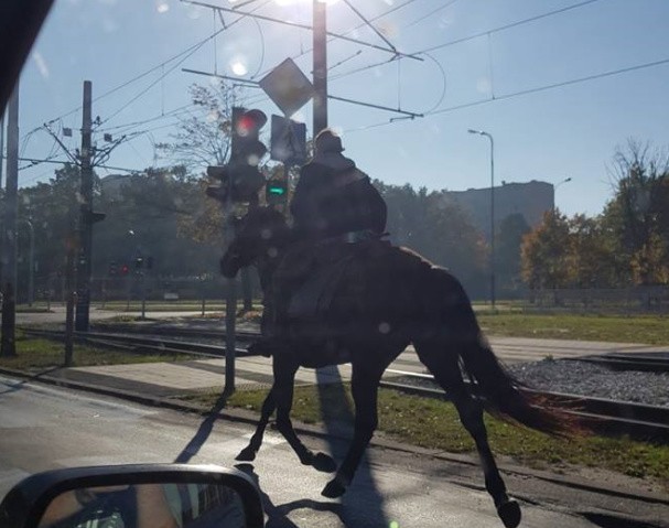 Galopującego po jezdni 19-latka spotkała jedna z...