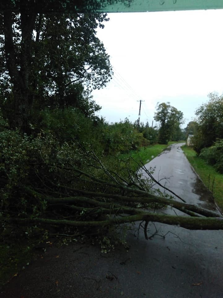 Burza w Kołobrzegu i okolicach. Straż pożarna ma ręce pełne roboty [zdjęcia]