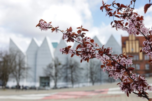 Dzieje się dużo w weekend przed Wielkanocą w Szczecinie. Szczegółowa lista wydarzeń dla dorosłych i dla dzieci na 8-10 kwietnia 2022. Aby przejść do galerii, przesuń zdjęcie gestem lub naciśnij strzałkę w prawo >>>