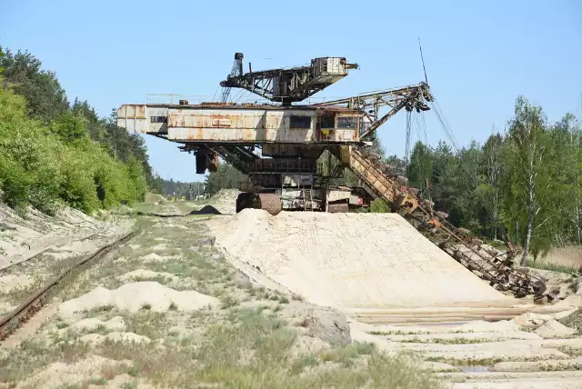 Tak będzie wyglądał las po tym, jak zostanie zamieniony w kopalnię. Na zdjęciu już istniejące wyrobisko kopalni Kotlarnia.