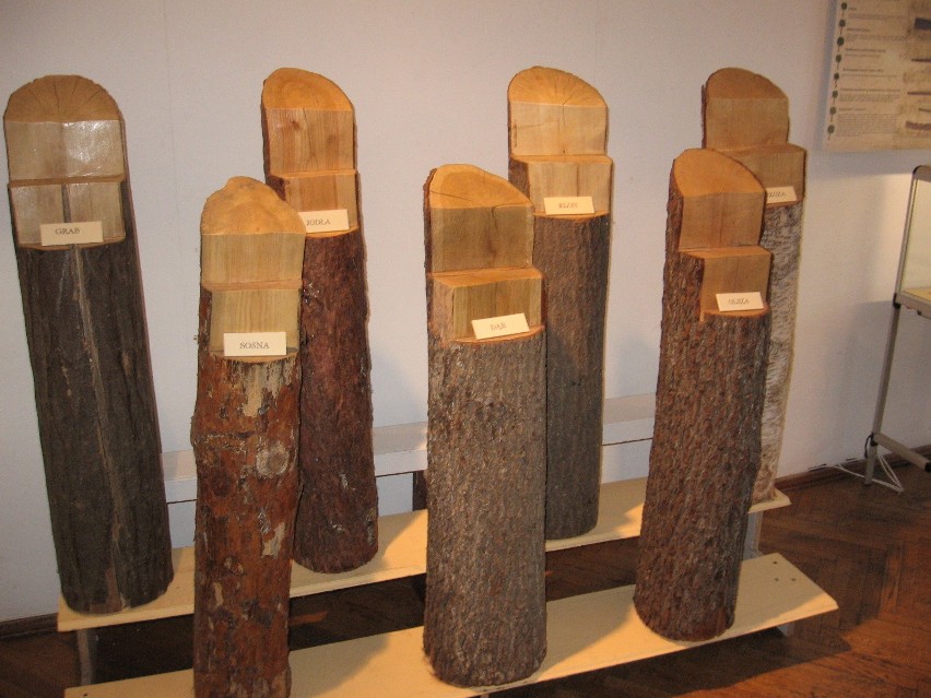 „Drewniane skarby archeologiczne świadectwem użytkowania...