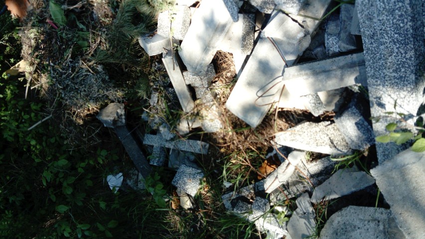 Przy ulicy Kłokoczyckiej pod lasem ktoś wyrzucił zniszczone...