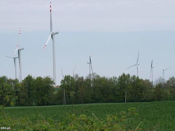 Władze Kamiennika już szykują się do wyznaczenia kolejnych farm wiatrowych. (fot. sxc)