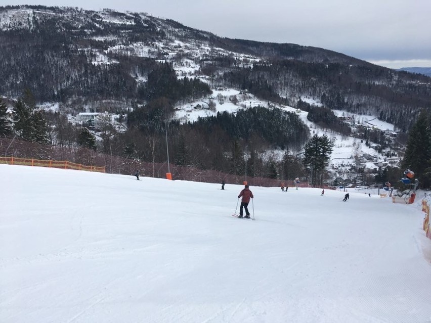 Warunki narciarskie w Beskidach, 1 marca 2020...