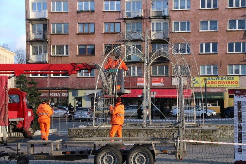 Nowa świąteczna choinka stoi już na placu Wolności