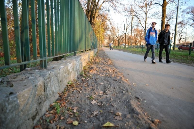 Kraków: zniszczono krzewy przy parku Jordana [ZDJĘCIA]