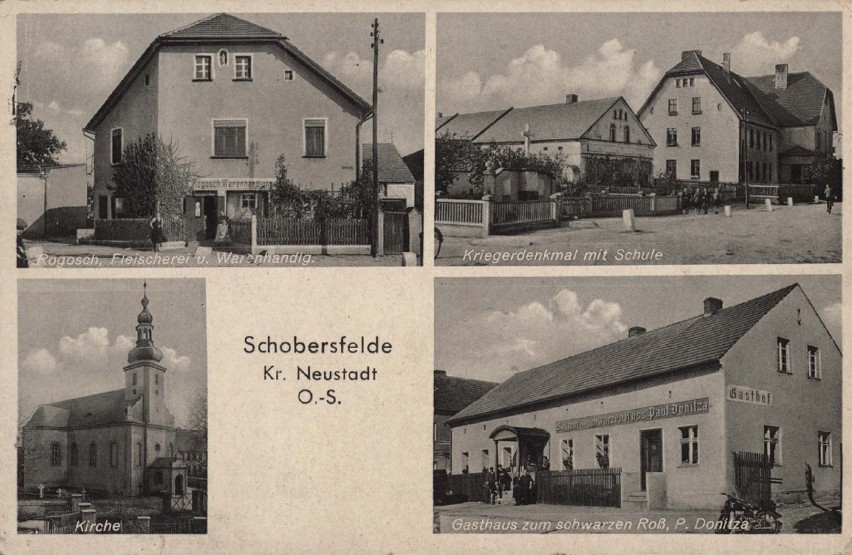 Brożec 1936