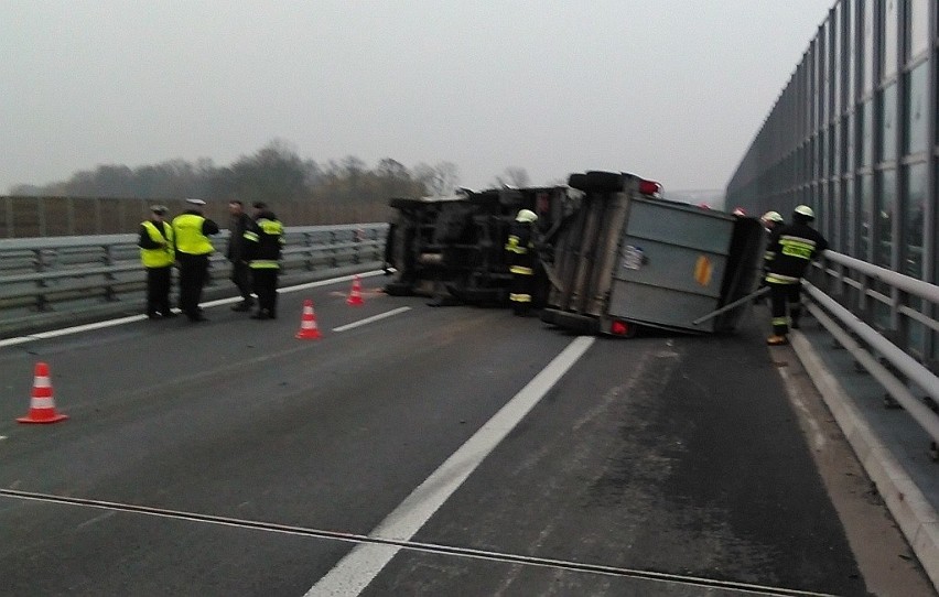 Wypadek na S8. Wywróciła się ciężarówka wioząca byki. Droga była zablokowana (ZDJĘCIA)