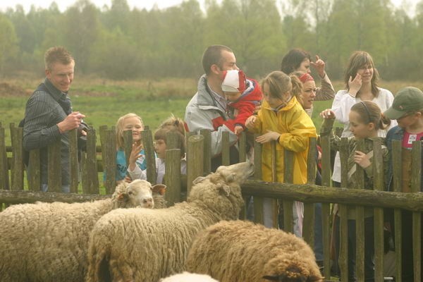 Piknik folklorystyczny "Czarne Wesele" w skansenie w...