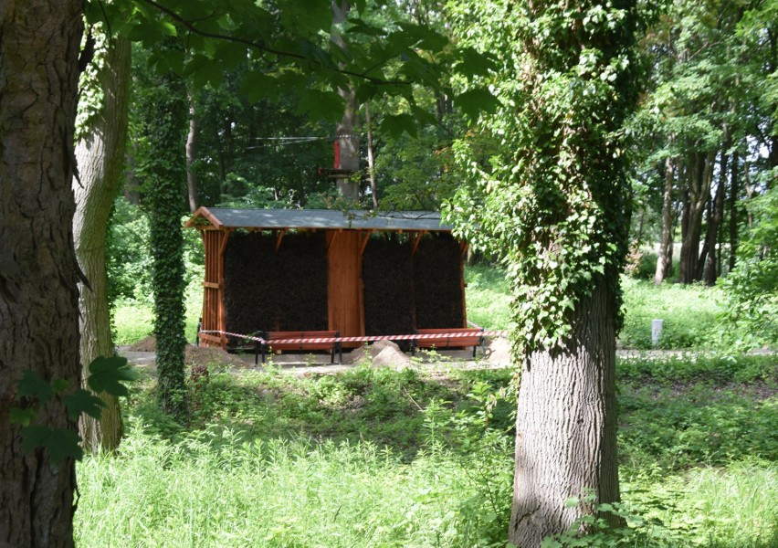 Tężnia w Parku Miejskim w Malborku zamieniła się w... budkę lęgową dla ptaków. To dlatego jeszcze nie rozpoczął się tam sezon na inhalacje