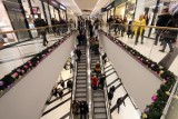 Sklepy i handel 26 grudnia 2018. Jak są czynne sklepy w Boże Narodzenie? Biedronka, Lidl, Kaufland, Auchan, Carrefour, Tesco, Żabka