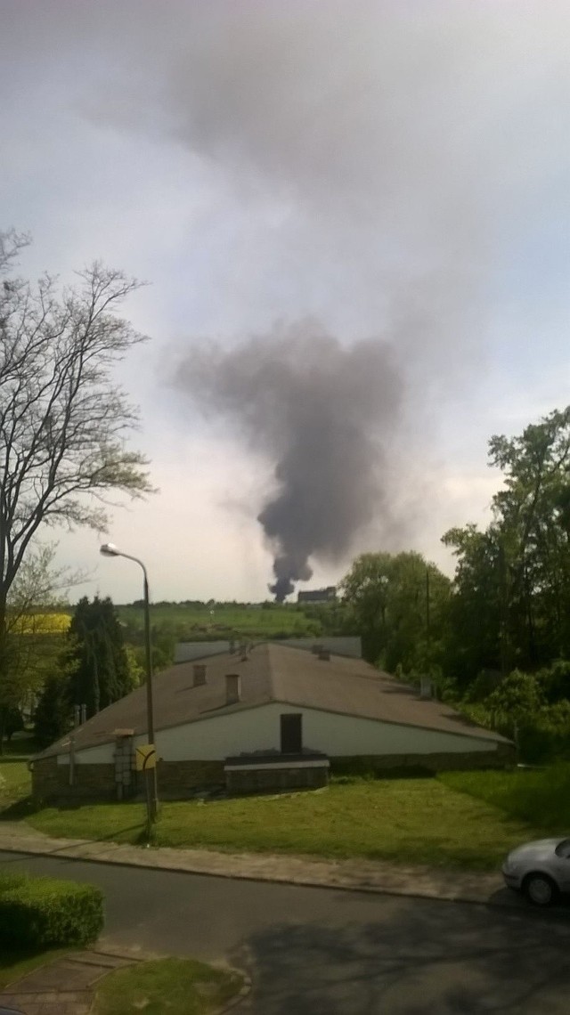 Pożar składowiska opon w okolicy Świebodzina wybuchł około godz. 15.00.