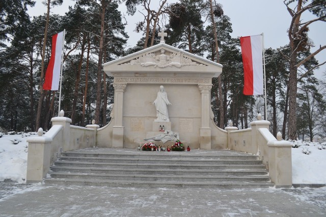 W niedzielę o godz. 11.30 uroczystości przed Pomnikiem Powstańców Wielkopolskich w Brzozie.