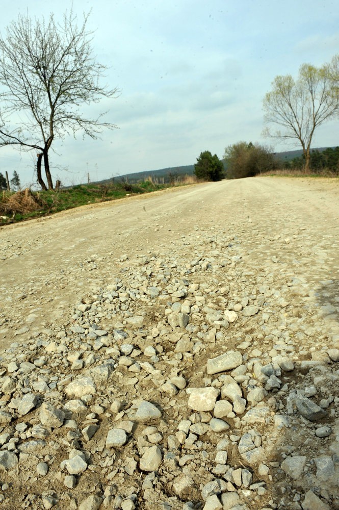 W ramach podkarpackiego odcinka Green Velo powstało 460 km...