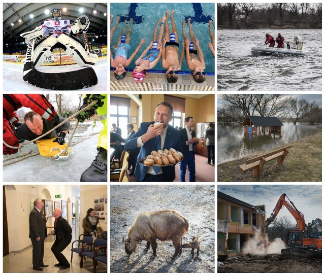 Najlepsze zdjęcia fotoreporterów "Nowości" z lutego [GALERIA]