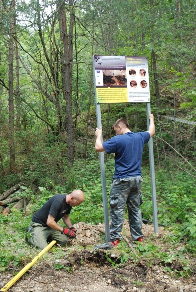 Ratują Jaskinię Szachownica i mieszkające w niej nietoperze [ZDJĘCIA]