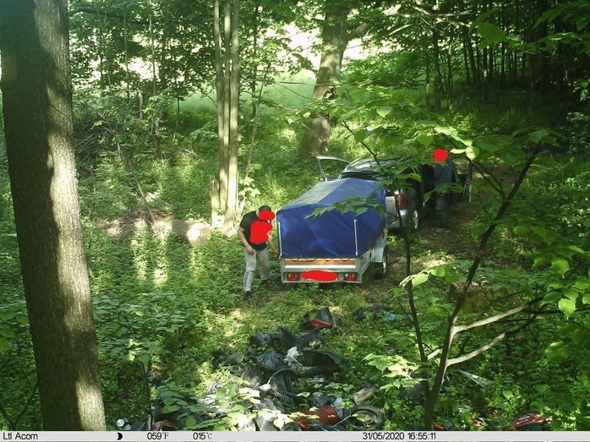 Screeny nagrań z fotopułapek zamontowanych w lasach...