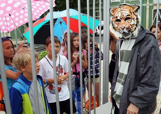 Działacz inicjatywy na rzecz zwierząt Basta zamknął się na dobę w klatce przed szczecińskim magistratem.