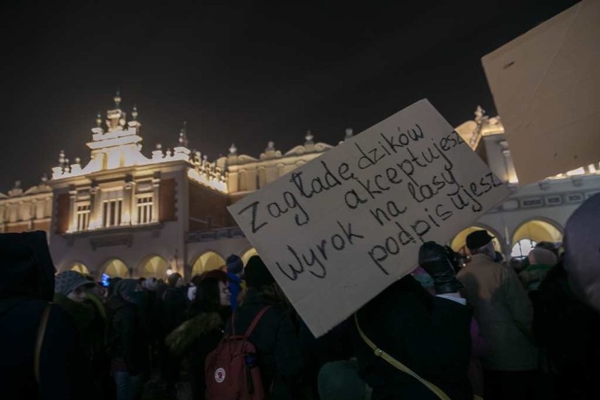 Kraków. "Dziki" na Rynku Głównym? To protest przeciwko masowym polowaniom [ZDJĘCIA]