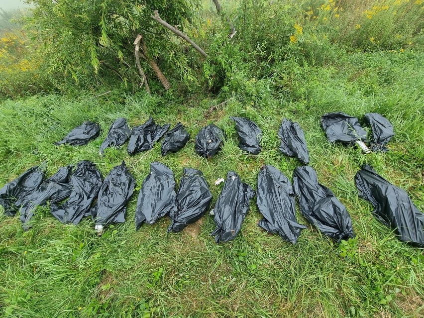 Policja odkryła 40 skradzionych katalizatorów